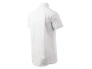 Chic Shirt men’s white S thumb 4