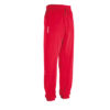 PANZERI_BASIC-H-trousers-püksid-dressid-pikad-red-punane_tikand