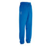PANZERI_BASIC-H-trousers-püksid-dressid-pikad-royal-blue-kuninglik-sinine_oma_nimega_logoga