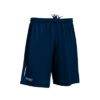 PANZERI_BASIC-R-shorts-lühikesed-püksid-navy-blue-kuninglik-sinine-navi-sinine_siiditrükk