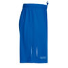 PANZERI_BASIC-R-shorts-lühikesed-püksid-royal-blue-kuninglik-sinine1_embleemiga