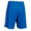 PANZERI_BASIC-R-shorts-lühikesed-püksid-royal-blue-kuninglik-sinine2_kuumkile_trükk